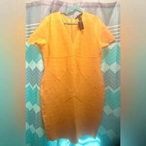 Ashley Stewart Size 22